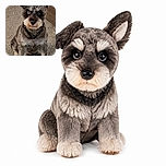 A tiny scruffy schnauzer sits on the carpet with the solemn expression of a furry courtroom judge, staring straight into the camera as if deciding whether your snacks deserve approval.