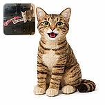 A tabby cat is standing on a black cabinet next to colorful red, green, and white crocheted Christmas stockings, looking directly at the camera with its mouth open as if meowing or mid-sentence. The background shows a reflection of a person taking the photo in a darkened room with furniture.