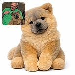 A tattooed man in a bright green shirt lounges comfortably on a textured couch, cradling a fluffy, content-looking Chow Chow puppy who seems to be posing like a furry superstar. The cozy indoor setting and relaxed expressions make it a heartwarming snapshot of companionship.