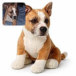 A close-up photo of a brown and white dog with alert ears lying on a blue blanket. The dog looks calm and thoughtful, with a textured background that adds a cozy indoor vibe.