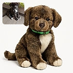 A fluffy brindle puppy with white paws and a green collar sits adorably on a wooden floor next to a bed with a green and white patterned blanket, looking curiously at the camera with a calm expression.