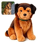 A dignified fluffy dog with a thick golden and black coat sits patiently on a paved path next to a lush green hedge, looking thoughtfully into the distance as if pondering the mysteries of the universe or waiting for a squirrel to appear.