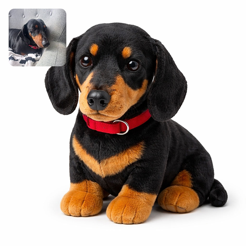 A dignified dachshund loafing on a tufted gray sofa, giving the kind of soulful side-eye that demands extra treats. Cozy blanket snuggles the body while the nose points toward the camera like a seasoned model refusing to move.