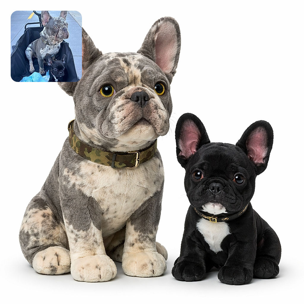 Two Frenchie adventurers lounge like tiny kings in a black wagon — one regal merle staring off like he's plotting the neighborhood, the smaller black pup is wide-eyed and suspicious of blue tissue treasures. Sidewalk runway, dramatic ears, maximum cute.