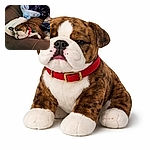 A blissfully snoring brindle bulldog puppy sprawled on a couch with a bright red collar, half-buried in blankets — professional nap-level relaxation with a side of drool and wrinkles.