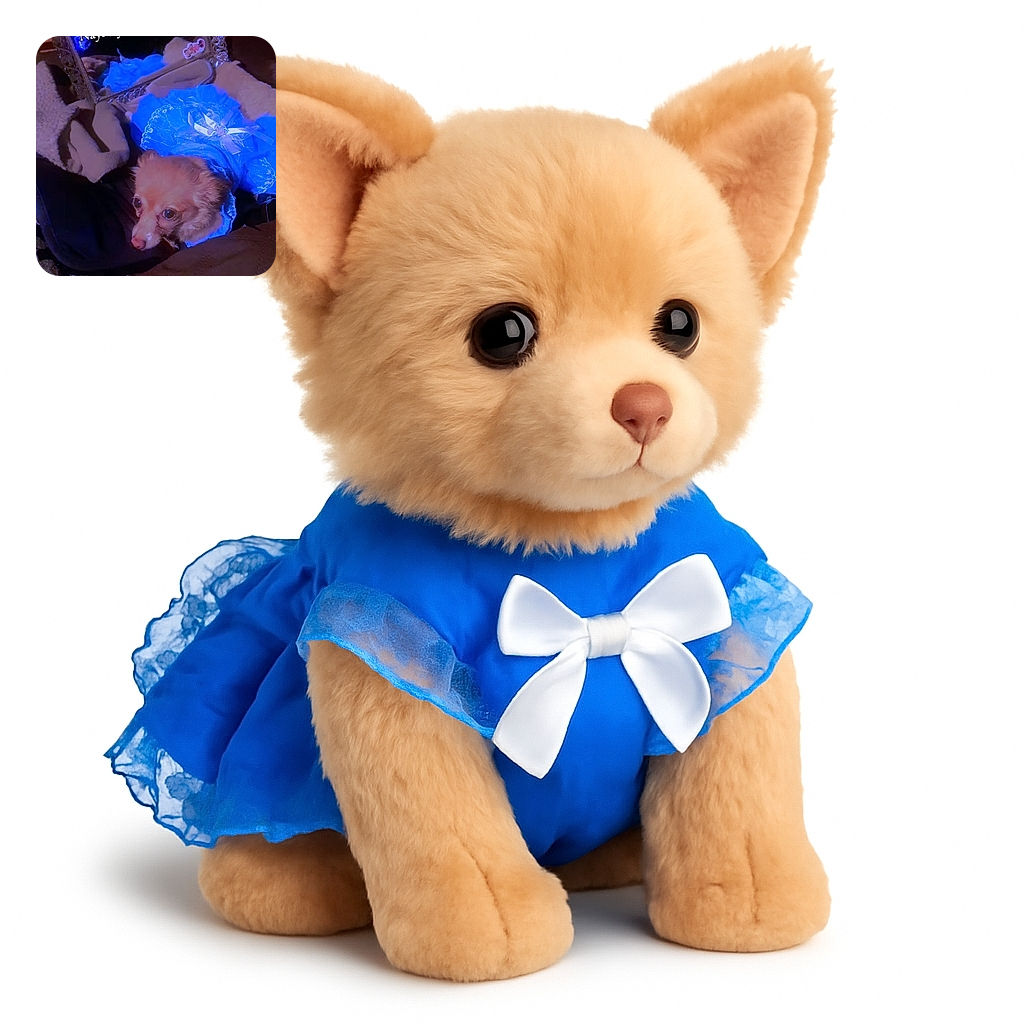 A small dog wearing a bright blue frilly dress poses beside an ornate mirror reflecting the text 'NayNay's new dress!' The scene is cozy with soft blankets and dim lighting, creating a charming and humorous moment of canine fashion.