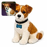 A small dog with a white and brown coat sits attentively on a carpeted floor, its ears perked up and eyes reflecting light, wearing a blue bone-shaped tag on its collar. The background shows a corner of a room with some green wall decorations and a purple rug.