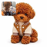A fluffy brown puppy wearing a cozy little jacket sits adorably on a soft blanket decorated with paw prints and dog faces, looking like it's ready for a fashion show or a nap—whichever comes first.