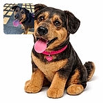 A gleeful dog with a giant pink tongue (and a little name tag) beams up at the camera while lattice-like shadows from a fence paint the pavement — pure sunny-day zoomie energy.