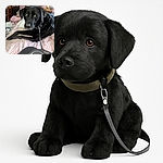 A black dog with shiny fur is lying on a bed covered with pink sheets, looking curiously at the camera while attached to a retractable leash held by a person wearing black pants. The background shows a cozy room with a wooden table, a TV screen, and some clothes hanging.