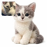 A close-up shot of an adorable gray and white kitten with big blue eyes looking curiously at the camera, surrounded by soft blankets and cozy textures, capturing the innocence and charm of a playful young cat.