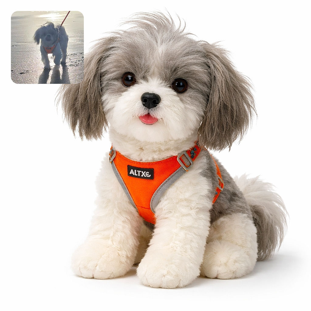 A small fluffy dog wearing an orange harness is walking on a wet sandy beach with the sun reflecting off the water behind it, creating a long shadow in front.
