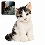 A sleepy-looking white-and-tabby cat poses beside a partially visible human, as if the cat has taken over the bed and is tolerating its paparazzi duties. Soft curtains, a dark wall, and leafy patterned bedding create a cozy bedroom backdrop.