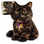 A fluffy tortoiseshell cat with striking yellow eyes stares intently at the camera, its long whiskers and soft fur beautifully detailed against a neutral background.