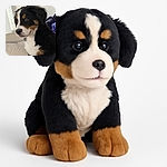 A fluffy Bernese Mountain Dog puppy sits attentively on a beige couch, looking off to the side with a curious and gentle expression, its tri-color fur contrasting beautifully against the neutral background.