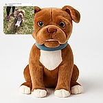 A sturdy brown and white dog with a slightly goofy expression sits attentively on grassy ground, wearing a collar and leash held by a person in black leggings and pink-laced sneakers. The photo is a casual outdoor shot, capturing the dog's charming personality during a training session.