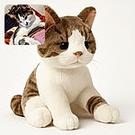 A curious cat with white and tabby fur is lounging on a cozy patchwork quilt, reaching out with a paw as if to say hello or swipe at an invisible toy. The soft textures and warm colors create a snug, peaceful vibe.