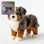 A charming Australian Shepherd dog with striking blue eyes tilts its head curiously while standing on a gravel path surrounded by patches of grass and dried straw, giving off an inquisitive and playful vibe.