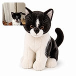 A black-and-white tuxedo kitten sits proudly in the room, looking like it just licked frosting off its nose and is daring everyone to ask questions. Its dramatic ears, bright eyes, and elegant whiskers steal the show while furniture and a cozy home interior fill the background.
