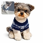 A small dog wearing a cozy blue and white sweater stands on the edge of a white couch, looking curiously at the camera with a slightly blurred background of a room with tiled floors and a dark cabinet.