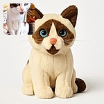 A close-up photo of a cat with striking blue eyes and a mix of white and brown fur, sitting on a cushioned chair in a cozy indoor setting with plants and wooden walls in the background.