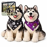 Two happy huskies sit side by side on a concrete path in front of a chain-link fence adorned with colorful locks, with a beautiful sunset reflecting on the water behind them. Both dogs wear festive Halloween bandanas, one with spooky pumpkins and spider webs, the other with ghosts and pumpkins, looking like the best festive pals ready for a Halloween adventure.