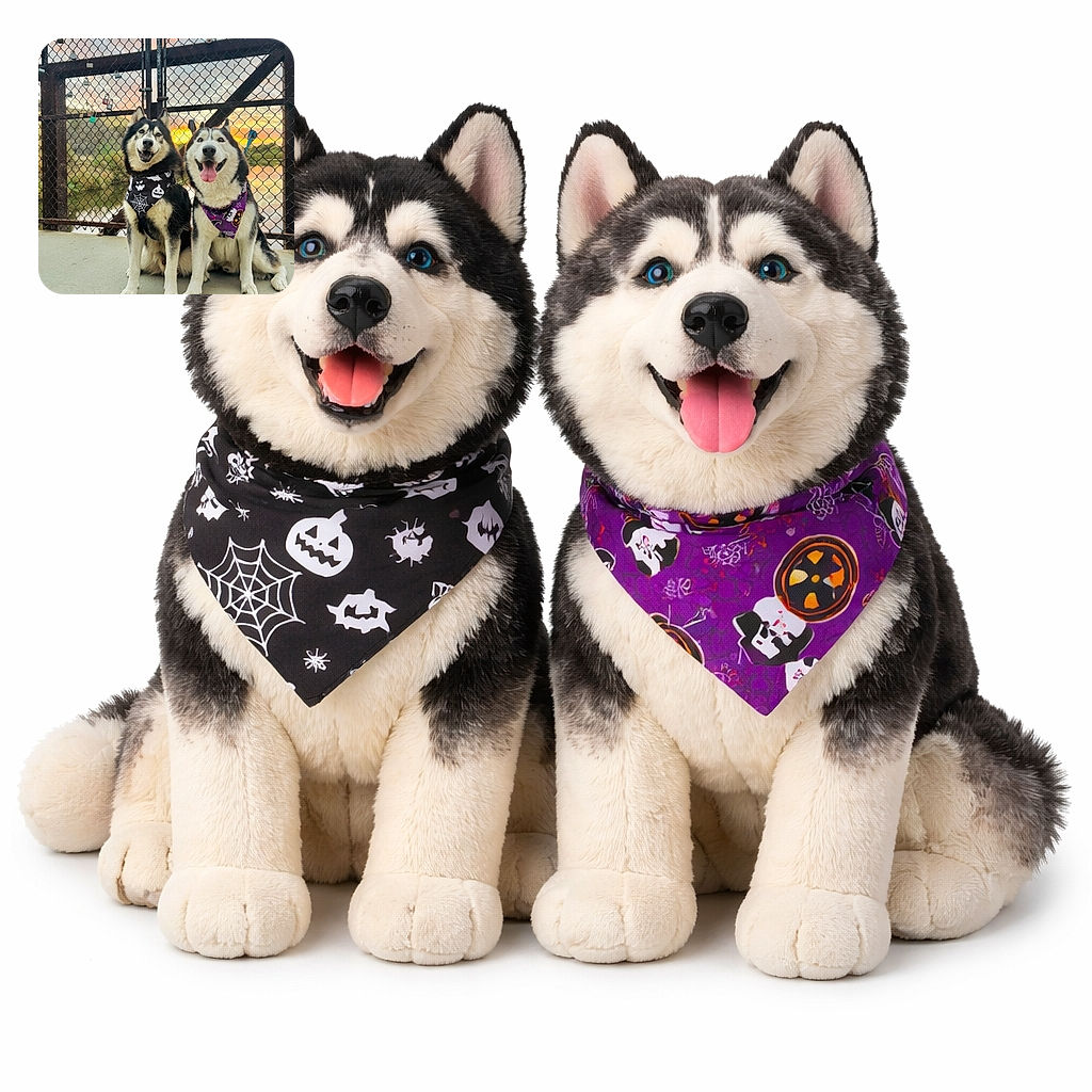 Two happy huskies sit side by side on a concrete path in front of a chain-link fence adorned with colorful locks, with a beautiful sunset reflecting on the water behind them. Both dogs wear festive Halloween bandanas, one with spooky pumpkins and spider webs, the other with ghosts and pumpkins, looking like the best festive pals ready for a Halloween adventure.