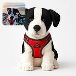 A close-up photo of a black and white dog wearing a red harness, standing on a rocky surface near a beach during sunset. The dog looks curious and friendly, with the ocean and sky softly lit in the background, creating a peaceful seaside vibe.
