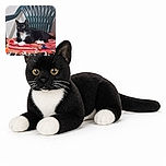 A tuxedo cat lounges like royalty on a colorful woven blanket atop a plastic chair, staring at the camera with the serious expression of a tiny black-and-white landlord inspecting its kingdom.