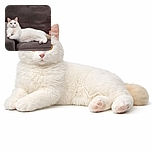 A fluffy white cat with a calm and slightly curious expression lounges elegantly on a well-used gray couch, looking like it owns the place while plotting its next nap or mischief.