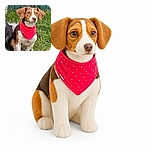 A serious little dog sits proudly in the grass wearing a dazzling red polka-dot bandana, looking like the neighborhood sheriff who has just discovered that someone left muddy paw prints on the lawn. A second fluffy dog makes a mysterious cameo at the left edge.