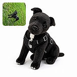 A curious black dog in a harness tilts its head at the camera as if trying to decode the human language, while its leash makes a dramatic runway across the grass. The sideways composition gives the whole park scene a delightfully playful wobble.
