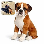 A man wearing a white cap and checkered slip-on shoes crouches on a sunny parking lot, affectionately holding a brown and white boxer dog who looks like it's ready for a photoshoot or a snack.