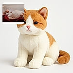 A sleepy ginger and white cat lounges comfortably on a soft surface with a cozy red blanket, looking relaxed and slightly drowsy in a calm indoor setting.