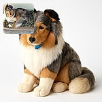 A fluffy, majestic dog with a mix of gray, white, and tan fur lounges comfortably on a floral-patterned green blanket atop a cushioned dog bed. The dog gazes curiously at the camera with soulful eyes, basking in soft natural light coming from a nearby window, while the wooden floor adds a cozy homey vibe.