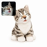 A close-up cat is caught mid-meow—or perhaps delivering a tiny opera solo—with eyes blissfully shut, tongue peeking out, and whiskers dramatically fanning across the dark background.