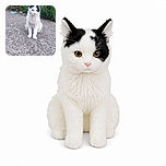 A fluffy black-and-white cat sits proudly on a pebbly path, staring into the camera like the neighborhood garden supervisor. Behind it, lush greenery provides a leafy stage while a discarded bottle quietly auditions for the role of environmental warning.