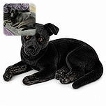 A sleek black dog lounges on a cushy gray bed, staring into the camera like it has just been asked to explain who chewed the invisible slipper. Purple bedding and a cozy indoor setting give the scene a soft, dramatic bedroom vibe.