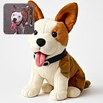 A happy dog with a big tongue out and perky ears stands on a rough pavement, looking excited and ready for some fun. The dog's white and brindle coat contrasts with the gray asphalt, capturing a candid moment of joyful anticipation.