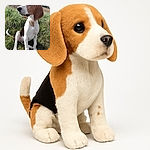 A charming young beagle puppy sits attentively in a grassy field, gazing off into the distance with soulful eyes, as the sunlight gently highlights its smooth tricolor coat and floppy ears.