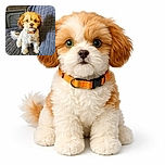 A fluffy little puppy with expressive greenish eyes sits attentively on a quilted gray couch, wearing a bright orange collar that contrasts nicely with its soft, curly fur. The background includes a folded plastic chair and wooden paneling, adding a cozy indoor vibe.