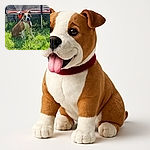 A cheerful brown and white dog sitting happily on lush green grass in a sunny backyard, with a trampoline and some outdoor gear in the background, tongue out and ready for fun.