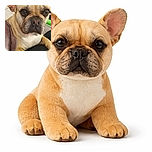 A close-up photo of a tan French Bulldog with soulful eyes looking directly at the camera, resting its paw on a black surface with a cozy blanket nearby, capturing a moment of quiet companionship indoors.