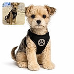 An adorable scruffy puppy wearing a black harness with a paw print, sitting attentively on a fluffy white blanket with a cozy background featuring blue floral curtains and white bedding.