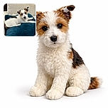 A cute small dog with expressive eyes lounges comfortably on a plush teal blanket atop a beige couch, looking curiously at the camera with its ears perked up, creating a cozy and heartwarming scene.