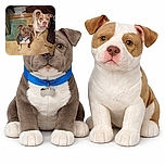 Two attentive dogs, one with a blue collar and the other with a white and brown coat, sit on a worn kitchen floor surrounded by household clutter including a spoon and some stacked wood, looking up with hopeful eyes as if waiting for a treat or command.