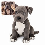A serious-looking gray-and-white dog sits proudly on a fluffy rug, gazing into the camera like it has just been appointed chief inspector of the living room. A plush monkey lounges nearby while hearts, paw prints, and the handwritten name “Lynx” add a playful fan-club vibe.