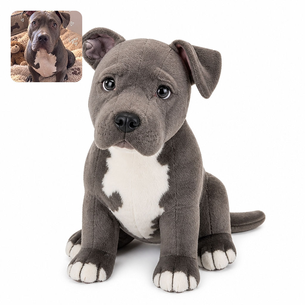 A serious-looking gray-and-white dog sits proudly on a fluffy rug, gazing into the camera like it has just been appointed chief inspector of the living room. A plush monkey lounges nearby while hearts, paw prints, and the handwritten name “Lynx” add a playful fan-club vibe.