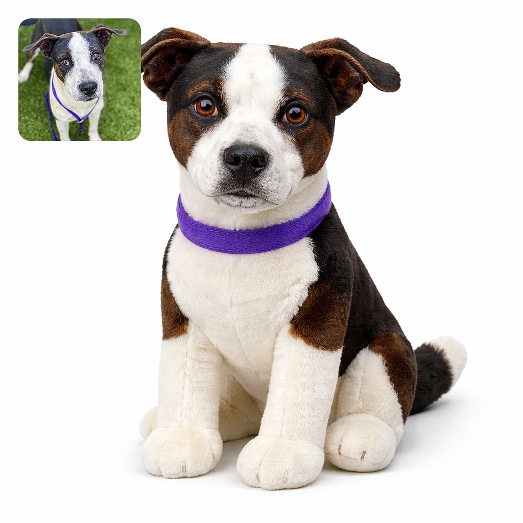 A curious dog with soulful eyes and a purple leash looks up adorably against a soft green grass background, capturing the essence of canine charm and innocence.