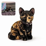 A wonderfully unimpressed tortoiseshell cat lounges on a pile of zebra-striped blankets, staring at the camera like it has been interrupted during an extremely important nap. The colorful towel, dark wooden headboard, and rumpled bed create a cozy bedroom scene.
